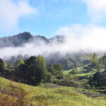 Standing in the In-Between: Navigating Work Transitions with Integrity